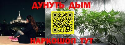 ПСИЛОЦИБИНОВЫЕ ГРИБЫ Краснознаменск