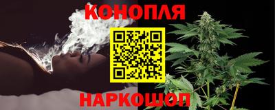 гидра Краснокаменск
