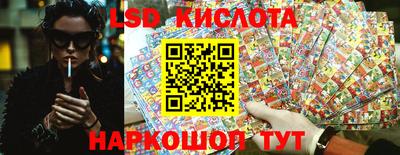 гидра Краснокаменск
